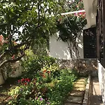 Ana Hvar Town